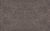 51 Roman Gray (A)