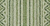74 Bindu Pine (A)